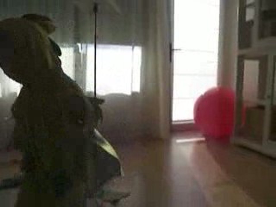 les dragons féroces