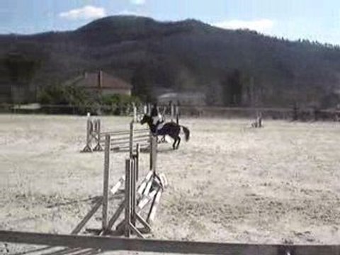 Crevette en club 3 avc Moii