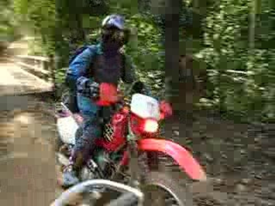 catpat thailande moto J2 06