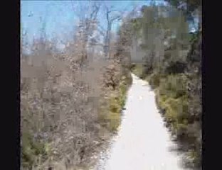 Collines en tête à tête avec nico