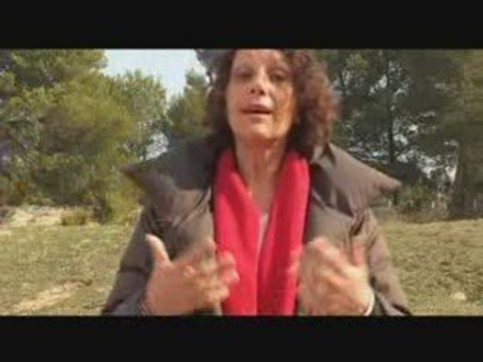 evelyne coursol, venelles élections municipales 2008