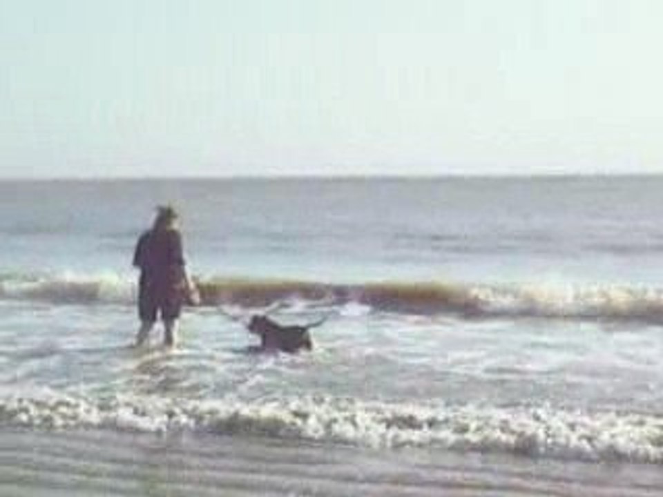 Pilou et la mer
