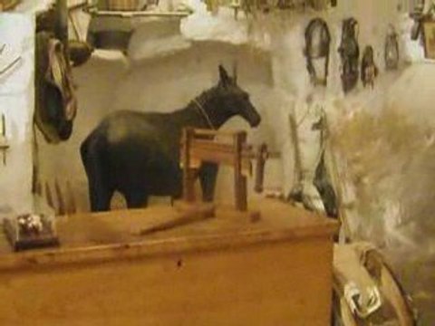 Comenius italia vida en una cueva