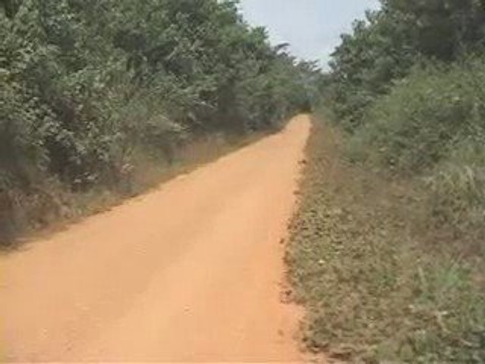 Dibeng 1