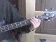 Cover Bass Pieces Sum 41