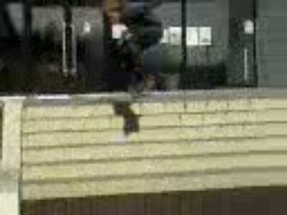 Ollie  6 stairs