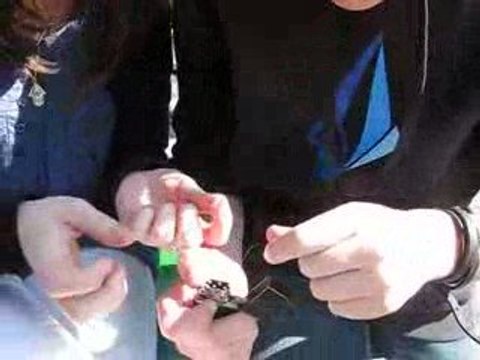 il ne faut pas jouer avec le feu.