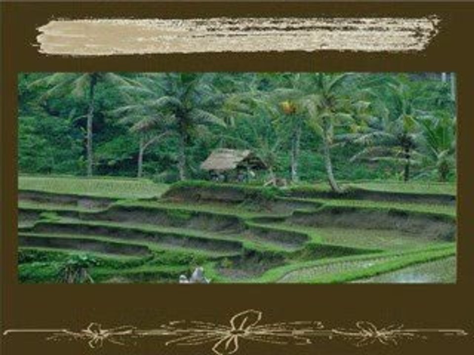 Bali