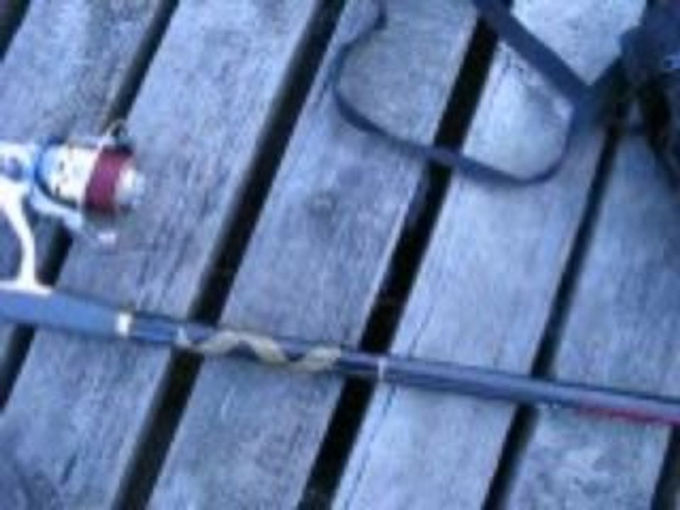 Bugunku balik avim VIDEO 20.03.2009 004