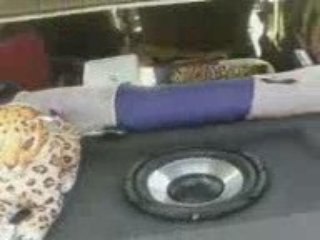 ma sono clio 1