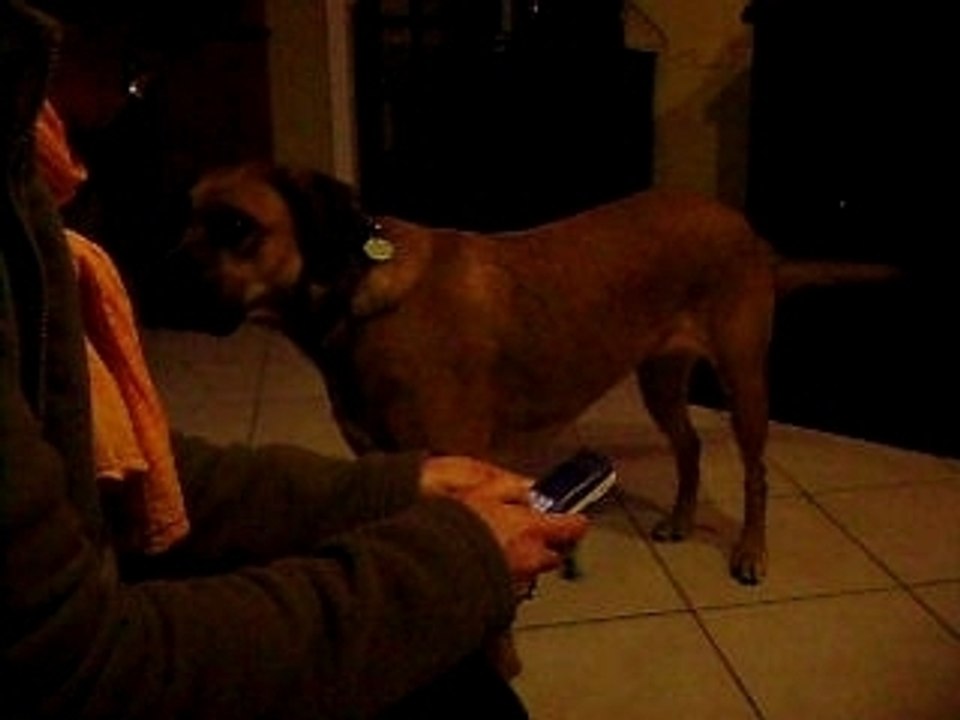 chipie chante