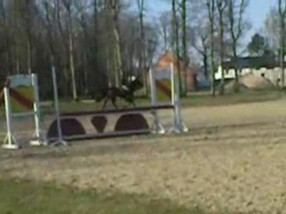 magica mars 2009 n 1