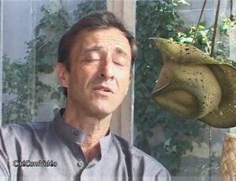 Eric Petit, élu de ST Jean de Védas