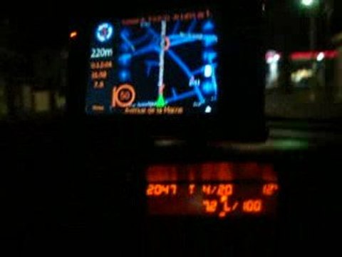 Fleurs de lys à Biarritz