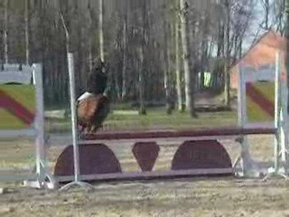 magica mars 2009 n 4