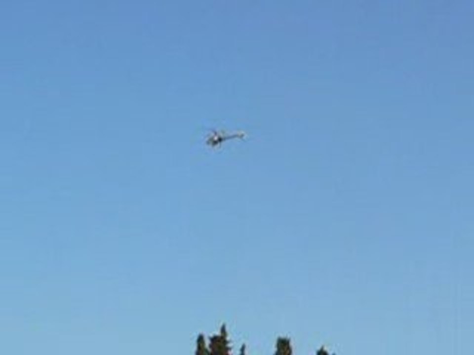 Trex 500 ESP A123 8S 12T