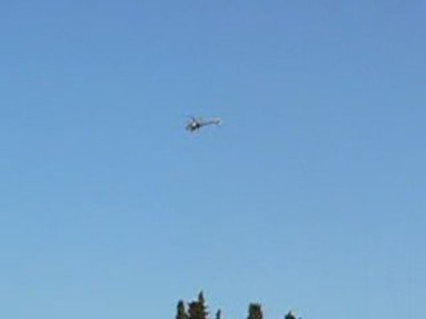 Trex 500 ESP A123 8S 12T