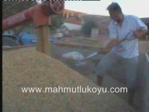 MAHMUTLU KOYU 2008 GORUNTULERI: 11