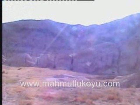 MAHMUTLU KOYU 2008 GORUNTULERI: CORAK