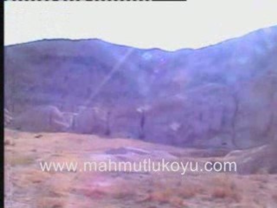 MAHMUTLU KOYU 2008 GORUNTULERI:  CORAK