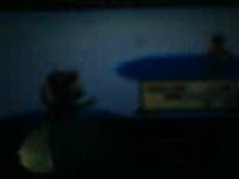 évolution anorith shiney en armaldo shiney