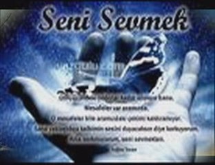 Seni seviyorum
