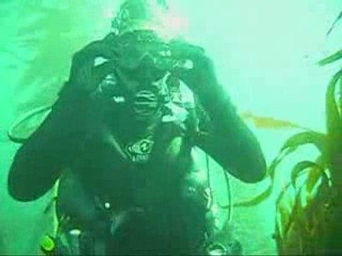 Scuba Diver Girl Margo swimmin with the fishes