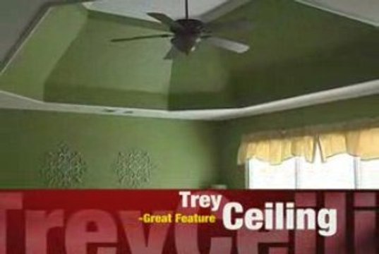 1824 Trilogy Park Drive - Home For Sale - Hoschton