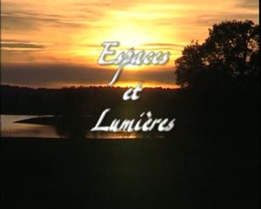 Espaces et lumières (art vidéo)