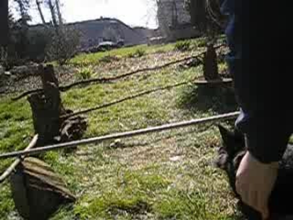 saut lapin 2
