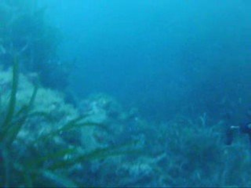 19.03.2009