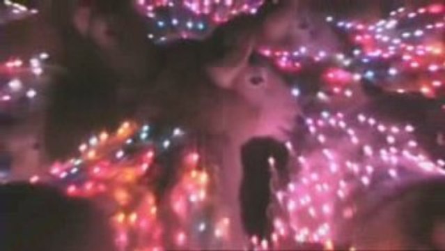 Des moutons vétus de guirlandes électriques