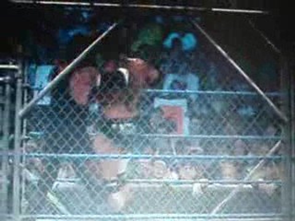 The undertaker