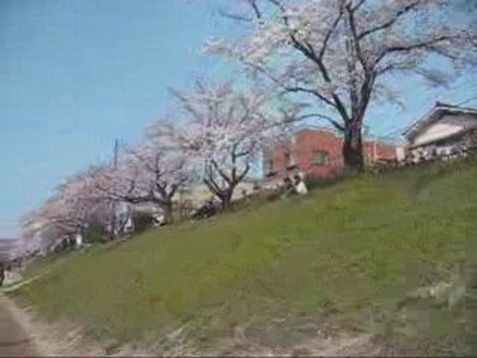 Kamogawa_Avril