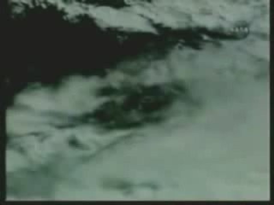UFO over STS Space Shuttle Landing Mar 24 2009 Video