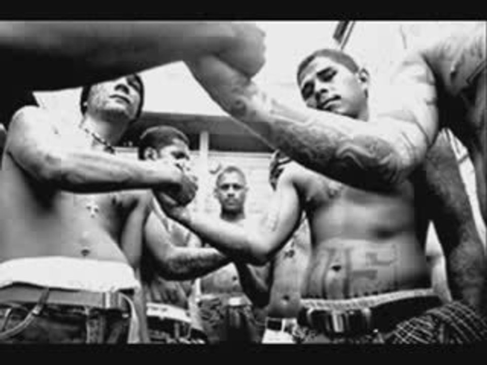 MS-13 Mara Salvatrucha