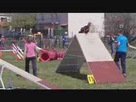 Béziers After 2ème degré