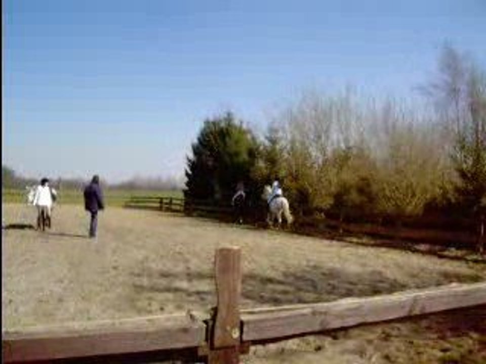Vidéo au galop avec Saphir 2