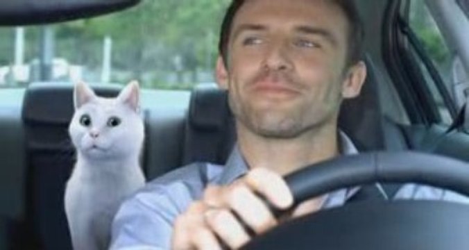 Pub Feu Vert Mosaïque