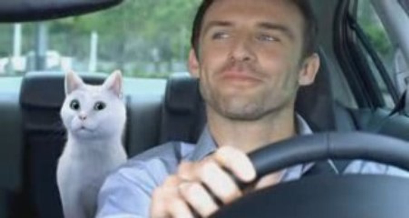 Pub Feu Vert Mosaïque