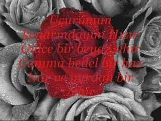 ''Gülce'' ibrahim sadri