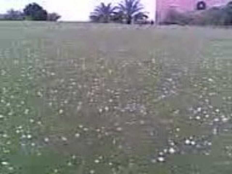 Ice Rain
