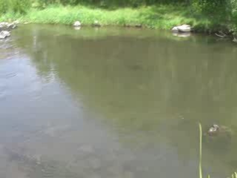 MOV001