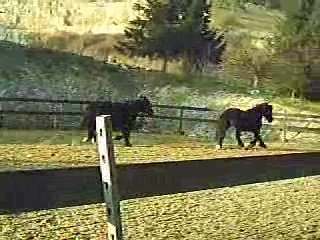 Iria et Joris 1ere fois