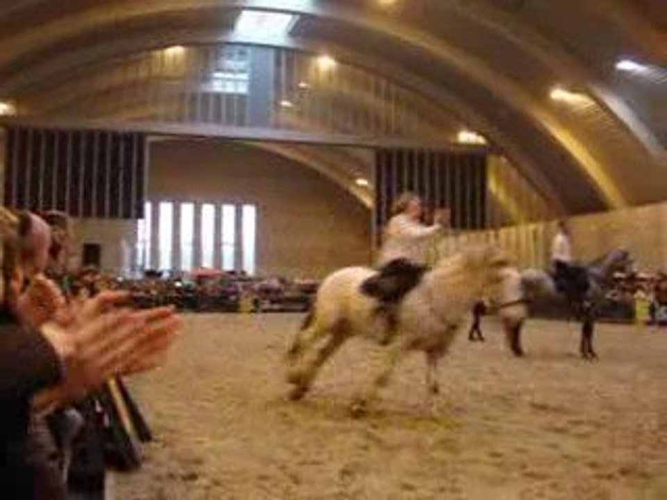 Spectacle de dressage