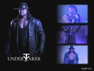 The Best Gimmicks and Characters