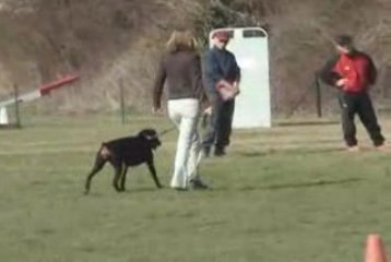 TC Calamity delfi of devil inside