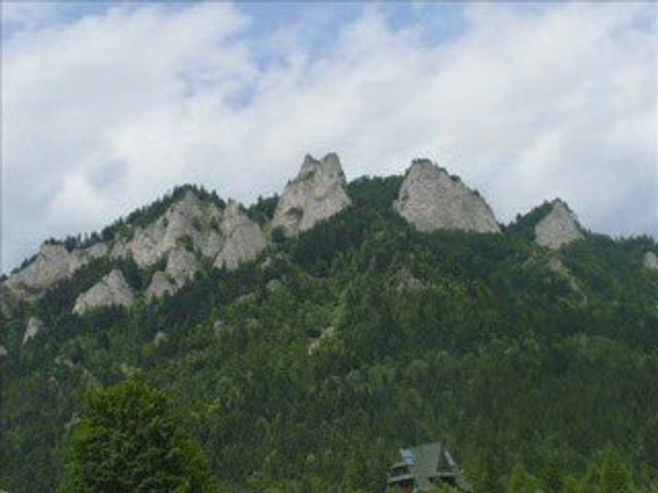 PIENINY
