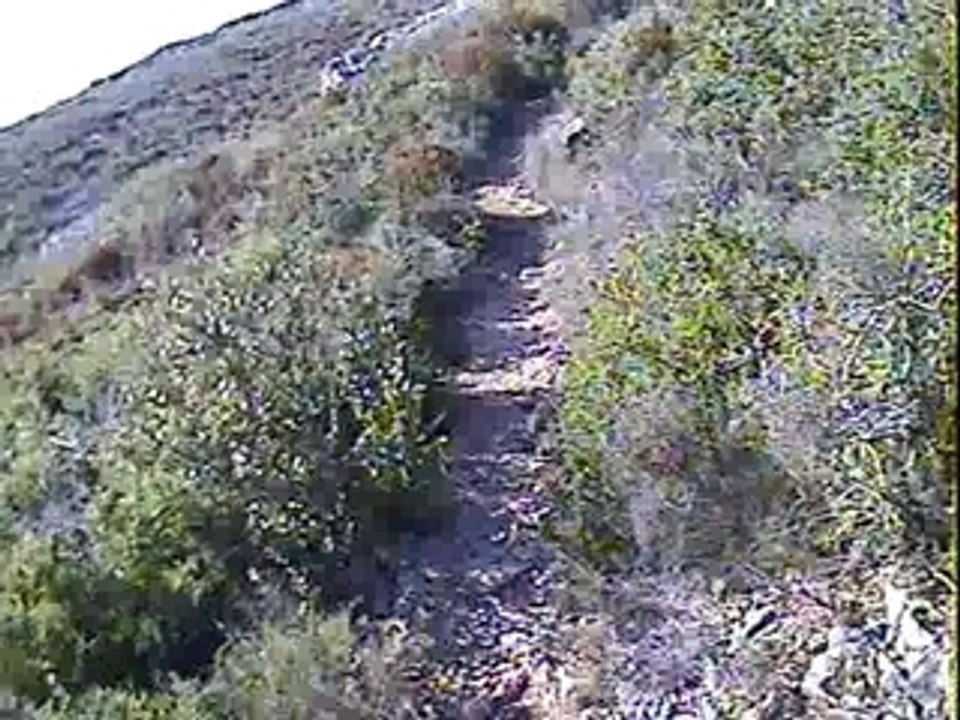 Alousde21.03.09 (25)