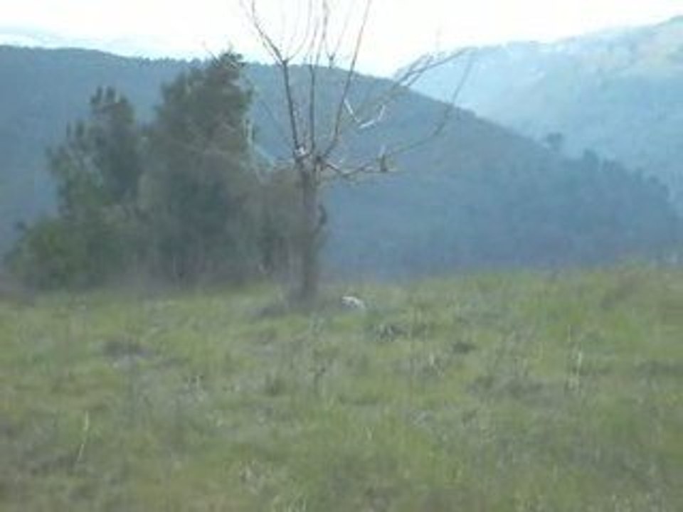 100 metre şişe